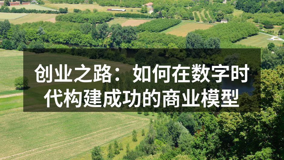 创业之路：如何在数字时代构建成功的商业模型